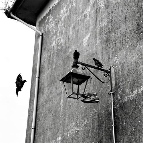 Photo #13372256