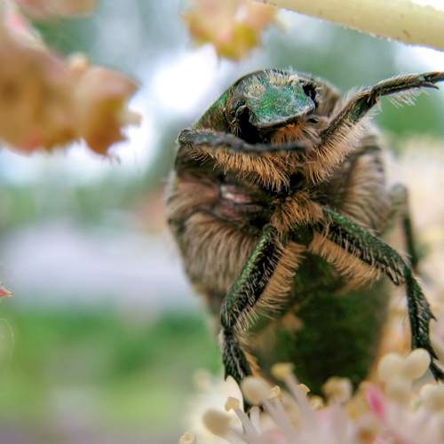 Photo #13372283
