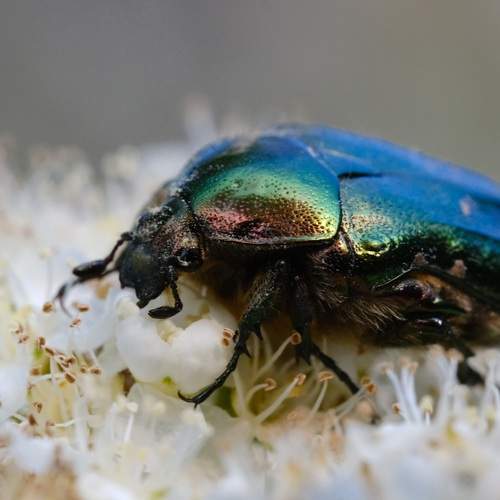 Photo #13372288