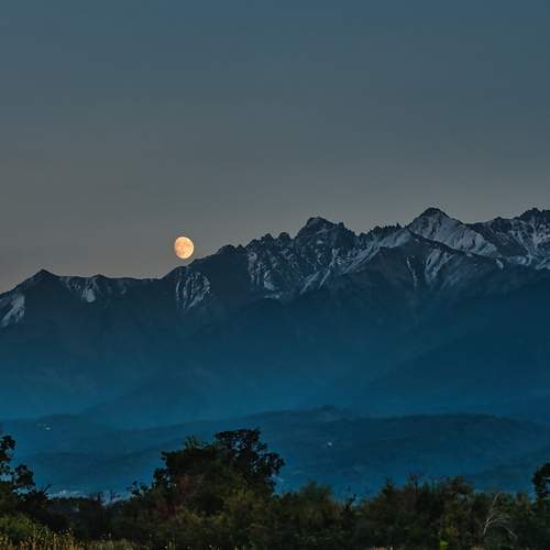 Photo #13372339