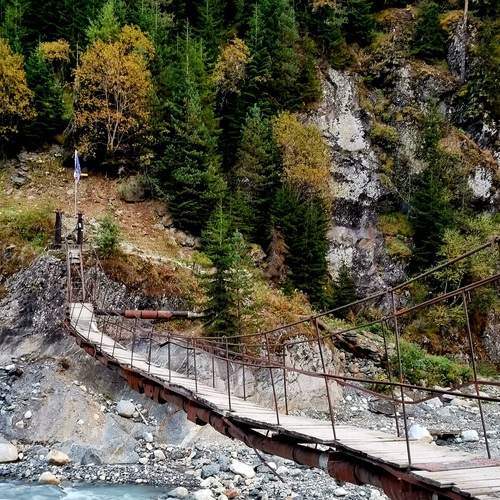 Photo #13372376