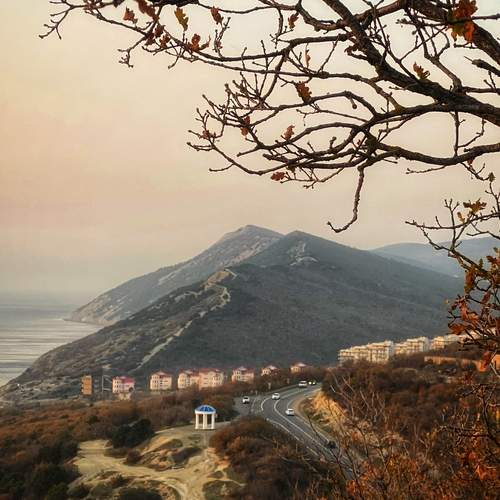 Photo #13372415