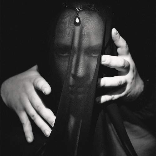 Photo #13372459