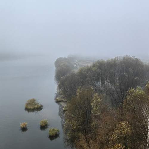 Photo #13372528