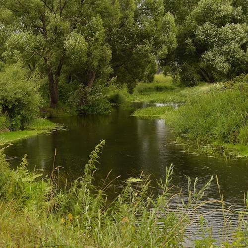 Photo #13372575