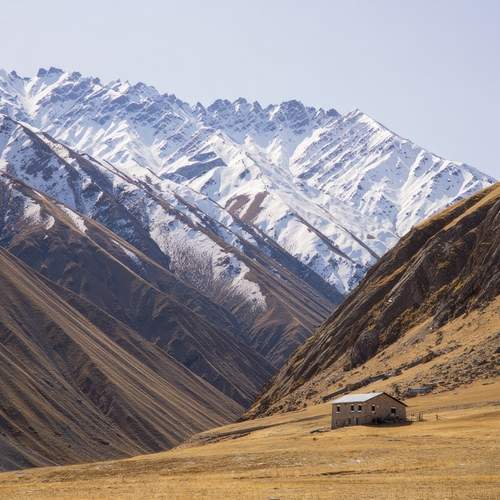 Photo #13372583
