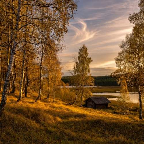 Photo #13372585