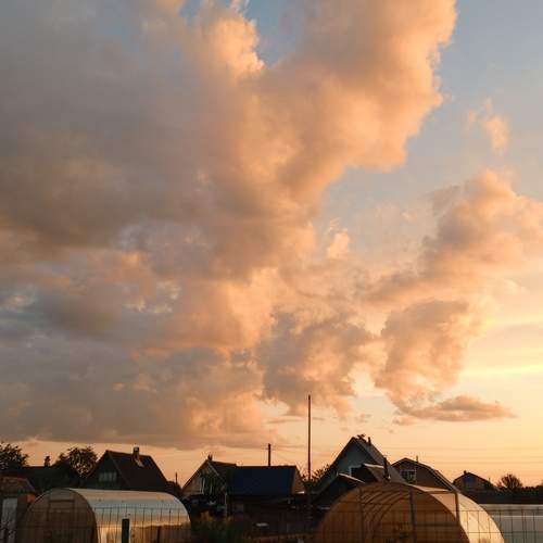 Photo #13372599