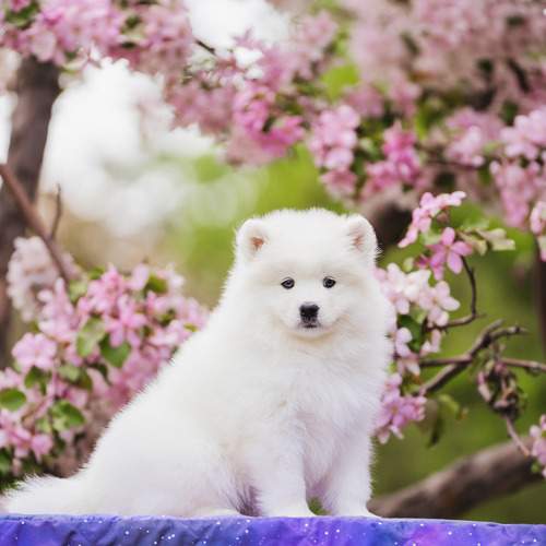 Photo #13372623