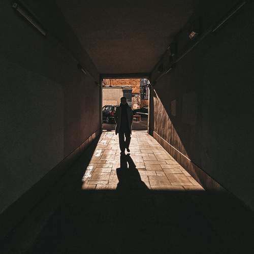 Photo #13372712