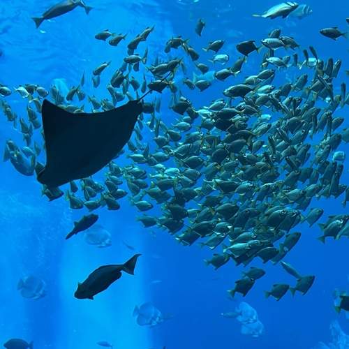Photo #13372780