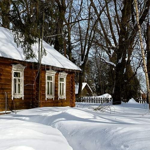 Photo #13372784