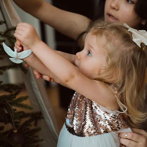 Photo #13372954