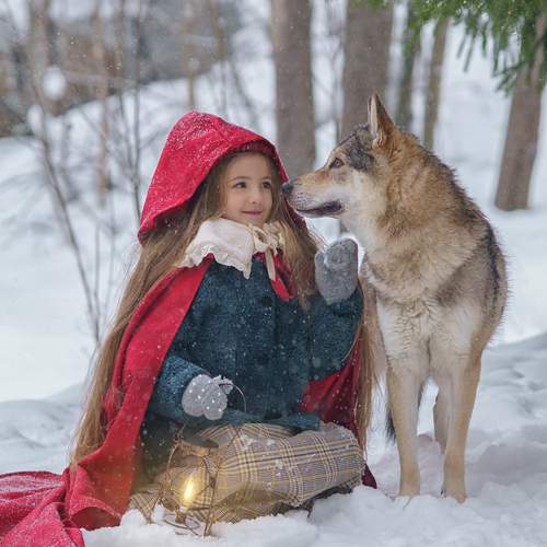 Фотография #13372974