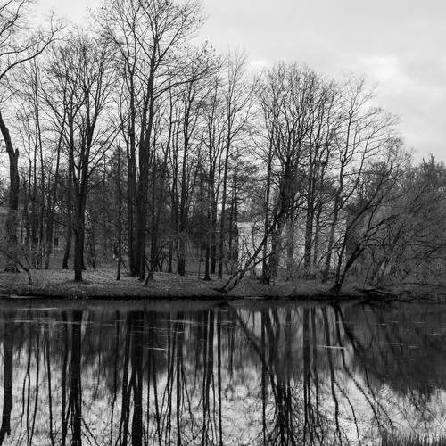 Photo #13373099