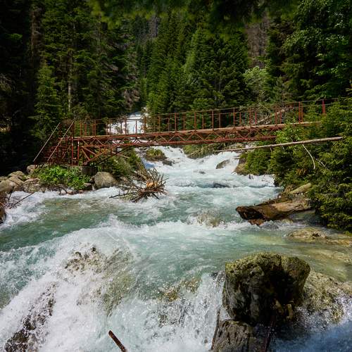 Photo #13373103