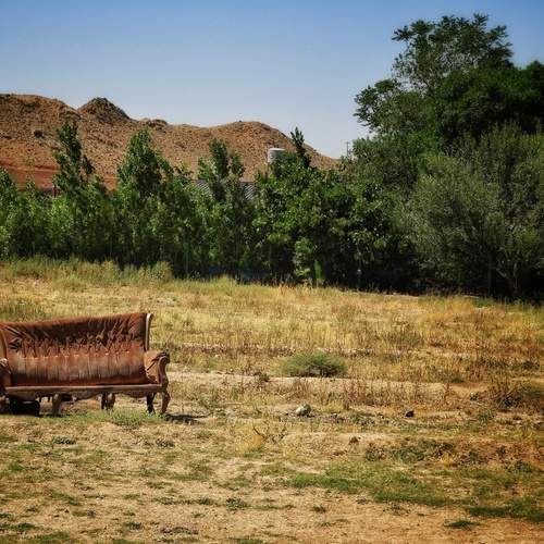 Photo #13373116