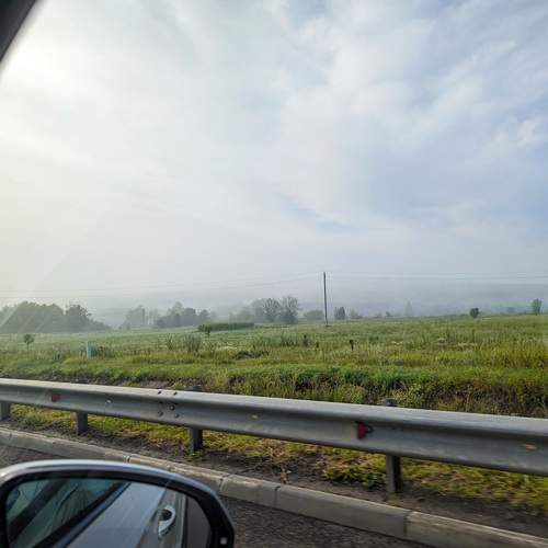 Photo #13373154