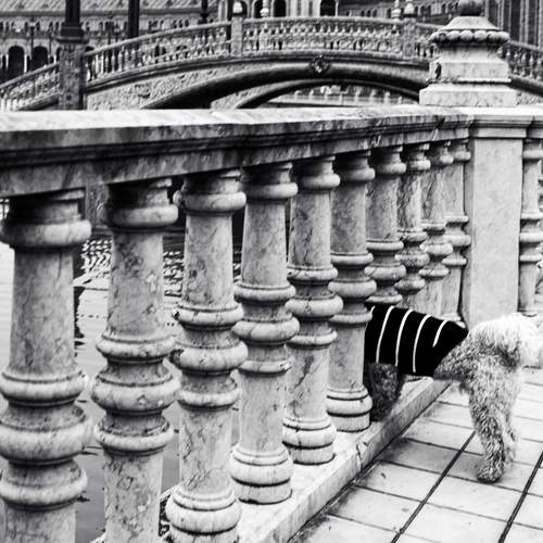 Photo #13373224