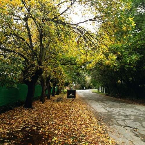 Photo #13373370