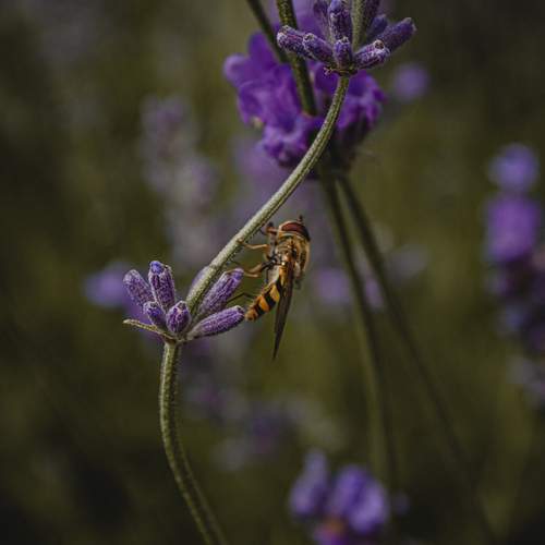 Photo #13373748