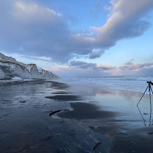 Photo #13373829