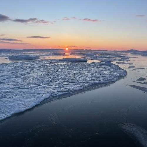 Photo #13373832