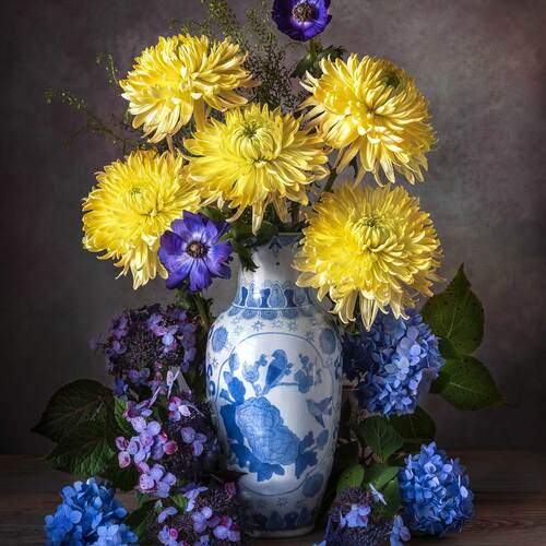 Photo #13374065