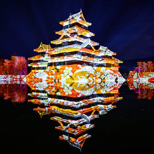 Photo #13374154