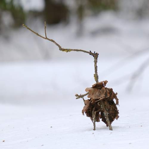 Photo #13374166