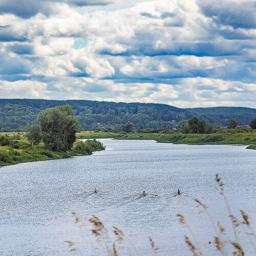 Photo #13374218