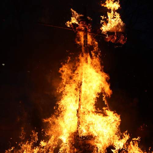 Photo #13374286