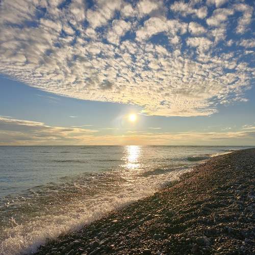 Photo #13374303