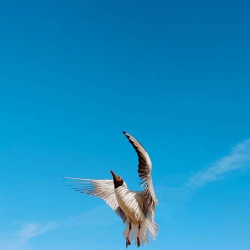 Photo #13374376