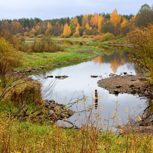 Photo #13374384