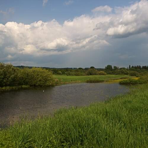 Photo #13374512