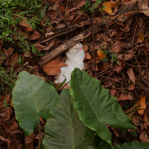 Photo #13374526