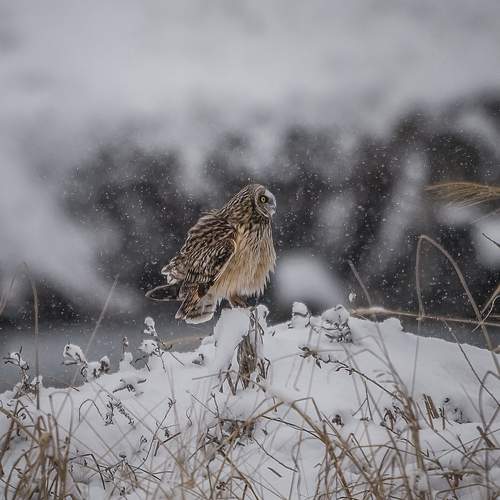 Photo #13374536