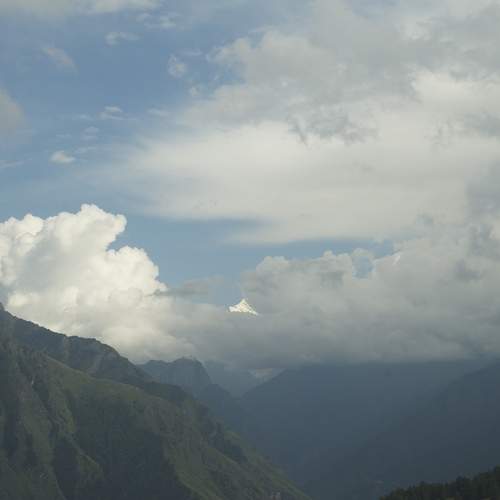 Photo #13374552