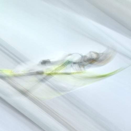 Photo #13374556