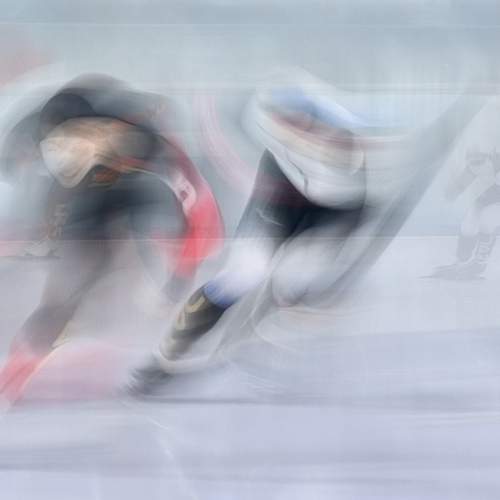 Photo #13374558