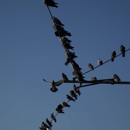 Photo #13374686