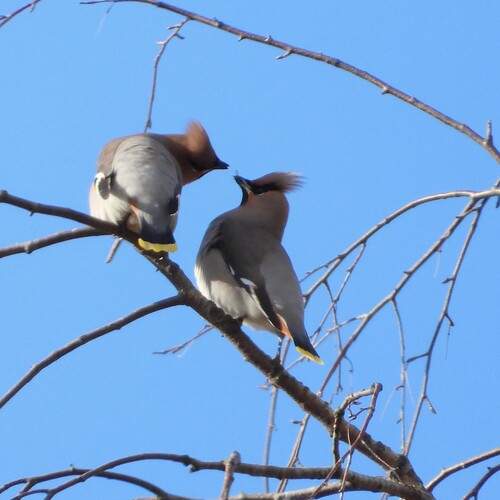 Photo #13374696