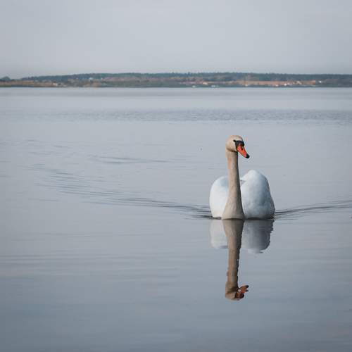 Photo #13374707