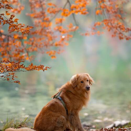 Photo #13374823