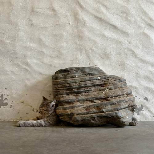 Photo #13374919