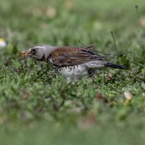 Photo #13374953