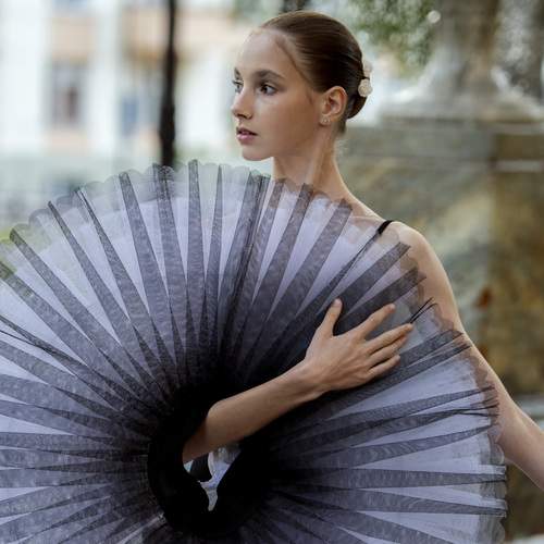 Photo #13375084