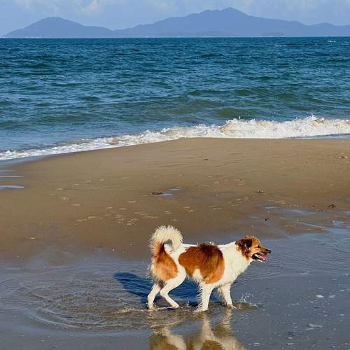 Photo #13375092