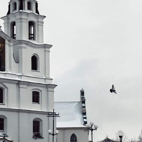 Photo #13375269